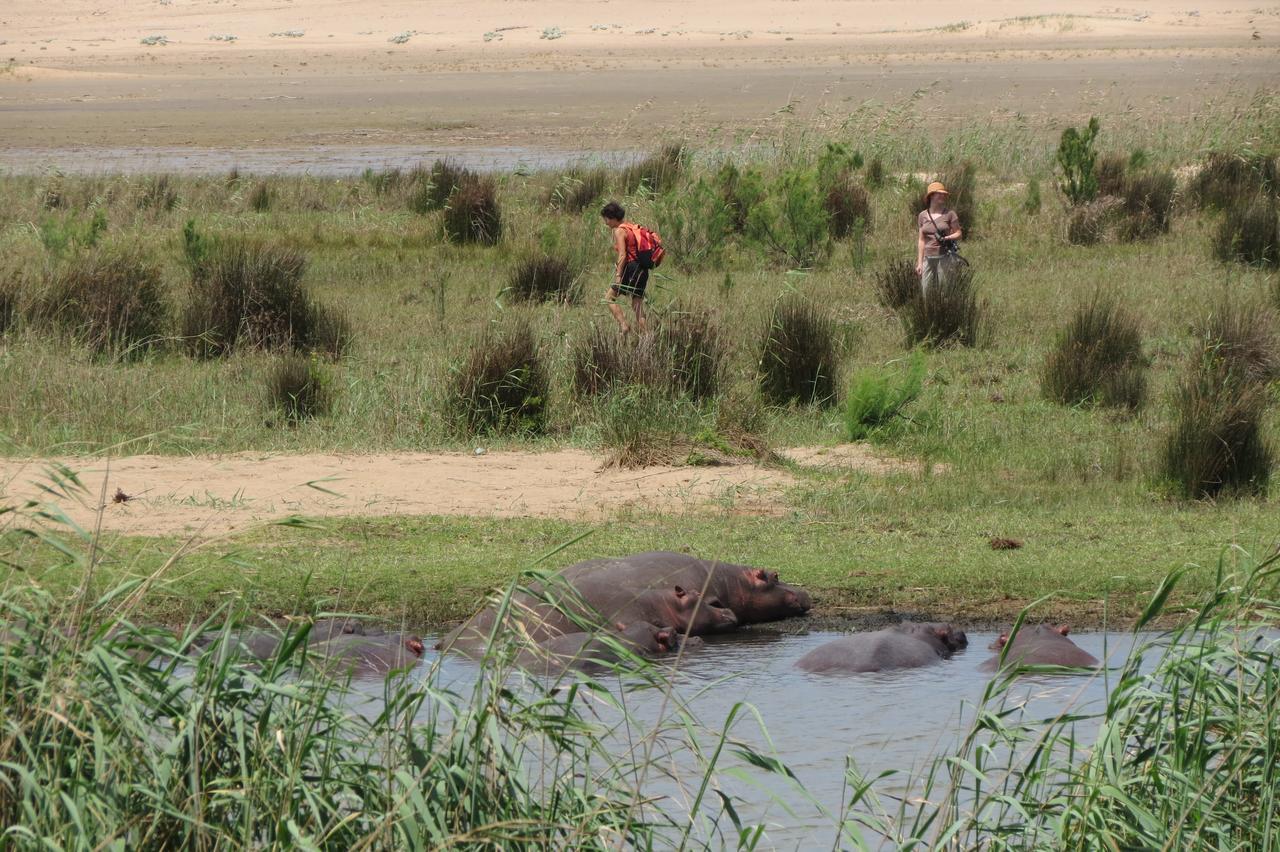Lodge Afrique Saint Lucia Estuary Екстериор снимка