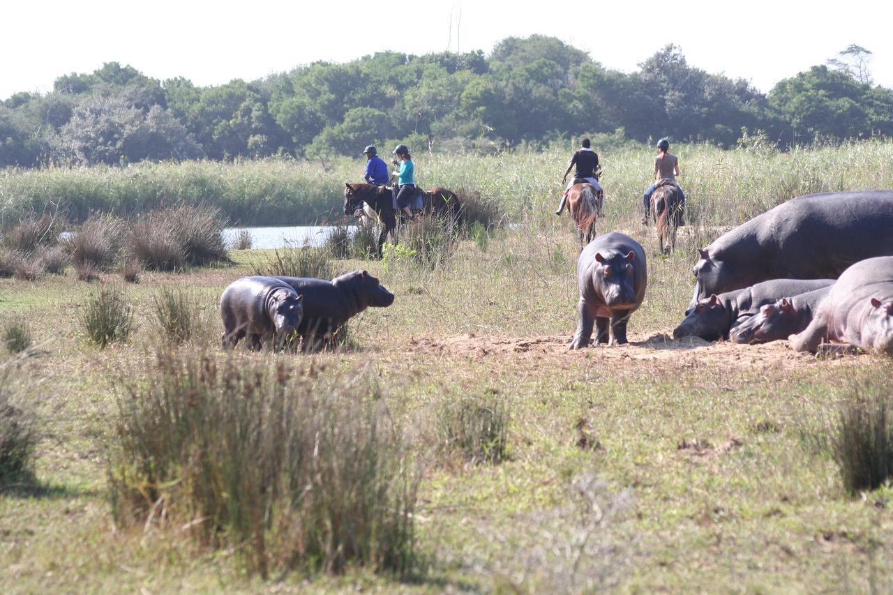 Lodge Afrique Saint Lucia Estuary Екстериор снимка