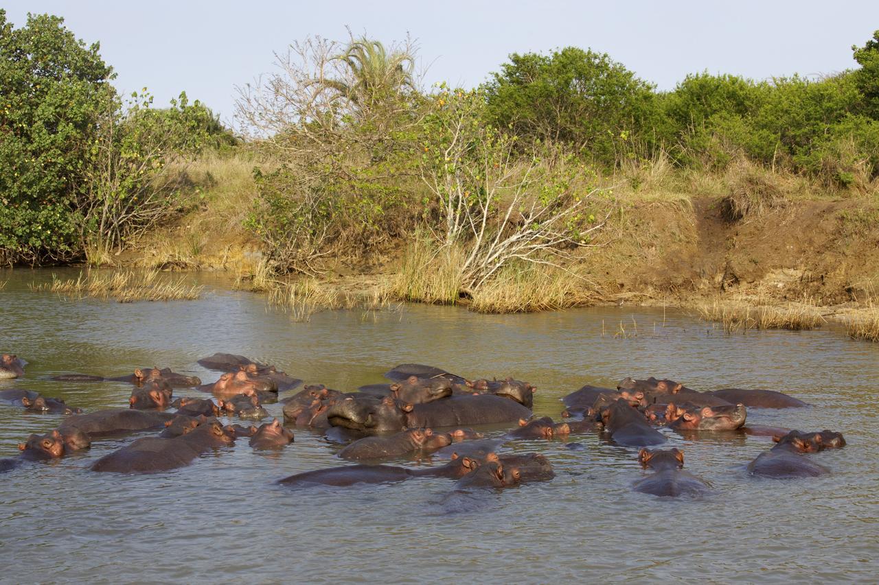 Lodge Afrique Saint Lucia Estuary Екстериор снимка